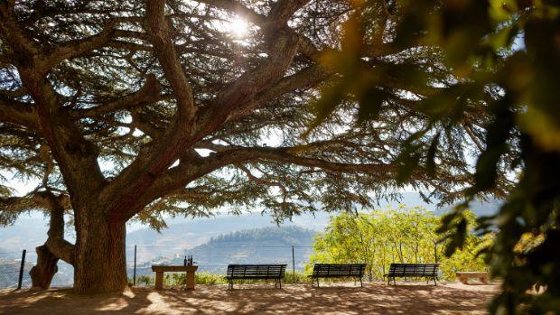 Quinta do Noval - Image 3 Quinta do Noval - Image 3